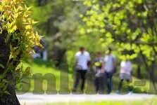 大象传媒网站免费-探索大象传媒网站免费资源的无限魅力